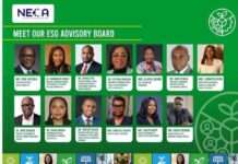 Femi Jaiyeola emerges chairman as NECA inaugurates ESG Advisory Board