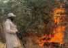 Troops exploit airstrike site in Borno