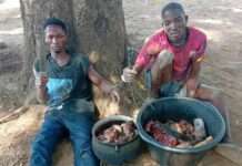 Troops neutralise bandit, arrest suspects in Benue, Nasarawa