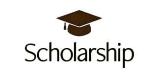 Sweden opens portal for foreign professionals’ scholarship