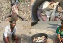 Troops bust cow rustling ring fueling Benue killings
