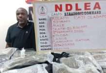 NDLEA nabs real estate CEO for drug dealing in Lagos NDLEA nabs real estate CEO for drug dealing in Lagos