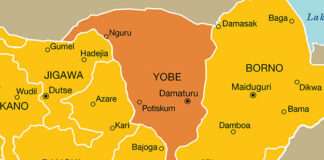 Weak referrals, drug shortages undermining malaria fight in Yobe – CSO