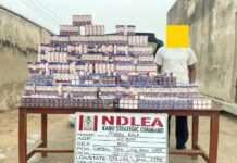 NDLEA seizes 1,499 bottles of codeine syrup, arrests suspect in Kano