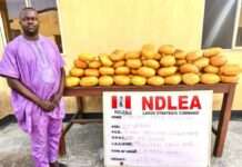 Ex-Lagos councillor nabbed with 40kg cannabis