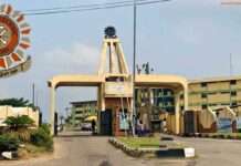 Cultism: Ibadan Poly threatens to expel students after arrest of two with ammunition