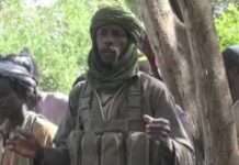 Senior ISWAP leader linked to Shekau’s death killed by troops in Borno