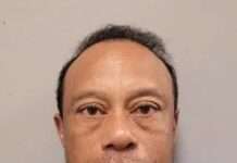 Tiger Woods bailed after arrest following crash