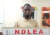 NDLEA intercepts cocaine hidden in dry fish heads, seizes fentanyl, meth in UK-bound shipments