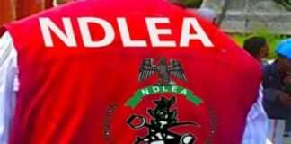 Port drug seizures hit 2.55mkg, valued at N3trn – NDLEA