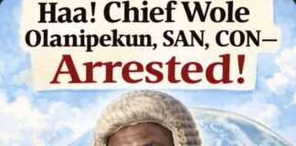 Chief Wole Olanipekun, SAN, CON — Arrested! By Wale Ojo-Lanre, Esq Haa! Chief Wole Olanipekun, SAN, CON — Arrested! By Wale Ojo-Lanre, Esq