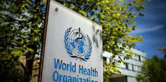 WHO urges govts on health policies inclusion for refugees, migrants