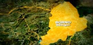 Troops rescue two boys who escaped terrorist camp in Borno
