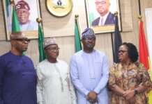 FG deploys e-visa, digital expatriate platform to tighten borders, attract investment