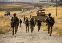 Troops neutralise dozens of Insurgents, dismantle enclaves in Borno