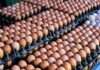 Egg sellers blame transport costs for price hike