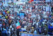 APC ‘ll go into 2027 elections stronger, more united – Otu