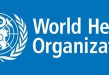 WHO chief urges ceasefire in DRC to curtail Ebola outbreak Nigeria, nine others account for 70% global hepatitis B deaths — WHO