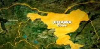 Jigawa approves N4.17bn irrigation, climate-smart agriculture projects