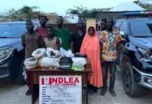 NDLEA destroys drug hubs in Abuja, arrests 132 suspects