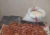 NDLEA seizes ammunition hidden in garri