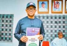 Not just online hype: Peter Obi’s record fuels “Obidient” Movement, says Media Office Not just online hype: Peter Obi’s record fuels "Obidient" Movement, says Media Office