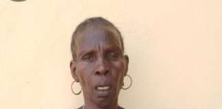 Troops nab ‘female ISWAP collaborator’ in Borno