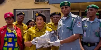 Customs, NDLEA frustrate attempt to smuggle N16.6bn worth of Cannabis into Nigeria