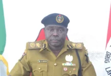 NDLEA arrests 533 suspects, seizes N1.6bn drugs in Oyo