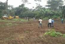 Ondo monarch, others remanded in Prison as Aiyedatiwa declares war on land grabbers Ondo monarch, others remanded in Prison as Aiyedatiwa declares war on land grabbers