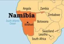 Plane crashes, pilot, three others confirmed dead Plane crashes, pilot, three others confirmed dead