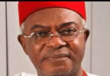 AANI Hails Obi of Onitsha Alfred Achebe at 85 as “Symbol of Wisdom and Statesmanship” AANI Hails Obi of Onitsha Alfred Achebe at 85 as "Symbol of Wisdom and Statesmanship"