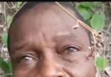 Oyo Horror: Teacher executed in captivity as troops snare six suspects Oyo Horror: Teacher executed in captivity as troops snare six suspects