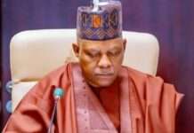 2027 and Kashim Shettima: The quiet calculus of power, loyalty and survival, By Emmah Uhieneh 2027 and Kashim Shettima: The quiet calculus of power, loyalty and survival, By Emmah Uhieneh
