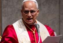 My take on Pope’s first social encyclical and historic apology, By Emmanuel Nnadozie Onwubiko My take on Pope's first social encyclical and historic apology, By Emmanuel Nnadozie Onwubiko