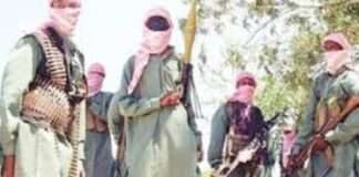 Troops neutralise terrorist, rescue 3 kidnapped victims in Zamfara Bandits kill Zamfara councilor, LGA director over alleged Lakurawa payments; threaten council chairman