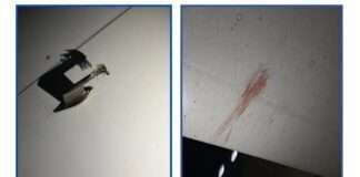 Air Peace Aircraft grounded in Kano after bird strike, alternative plane deployed