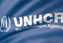 Northwest IDPs near 800,000 as violence drives displacement – Report