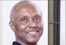 Did the DSS Cross the Line on Prof Okey Ndibe? By Louis Achi