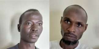 ISWAP bomb-making expert, senior commander surrender to troops in Yobe