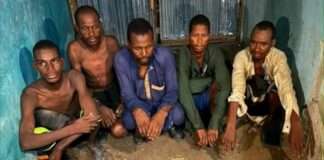 Troops arrest five kidnappers, recover AK-47 rifles in Borno