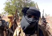 Nigeria records 98 terrorism cases in seven days