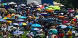 Europe heatwave shatters temperature records across three countries