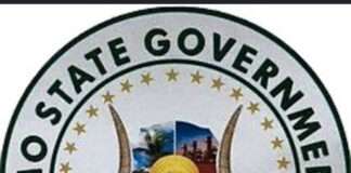 U.S. venture unveils N600bn scheme for Imo grassroots