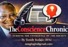 Let the Nigerian Media Rise Gallantly to the Occasion _The Conscience Chronicler