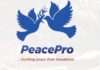 Democracy Day: Nigeria must make terrorists kidnapping a path to destruction for terrorists, not reward — PeacePro Govt should not negotiate with terrorists — PeacePro