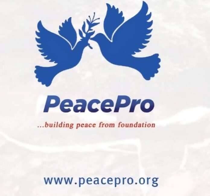 Govt should not negotiate with terrorists — PeacePro