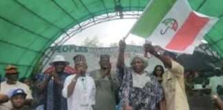 Iyabo Obasanjo clinches PDP Senate ticket for Ogun Central after return to party