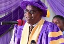 Professor Olugbenga Ige: The People’s Vice Chancellor, By Tunde Akingbondere