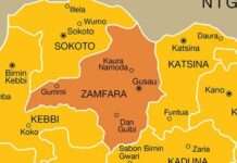 Troops arrest terrorist in Zamfara school